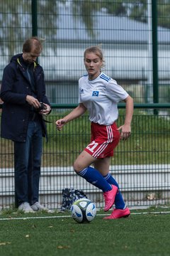 Bild 218 - C-Juniorinnen HSV - Walddoerfer : Ergebnis: 9:1